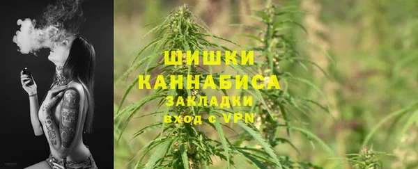 шишки Армянск