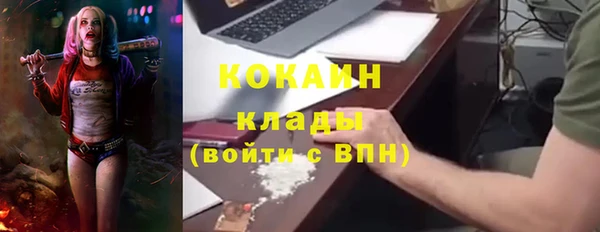 шишки Армянск