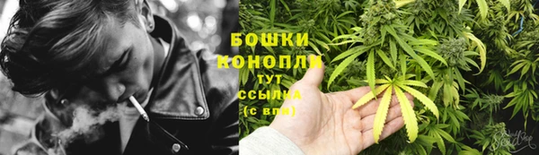 шишки Армянск
