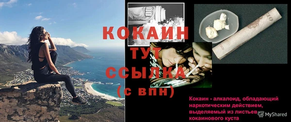 шишки Армянск