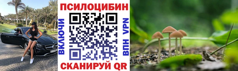 OMG как войти  закладки  Краснообск  Псилоцибиновые грибы GOLDEN TEACHER 